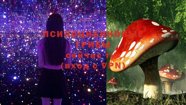 марки lsd Алексеевка