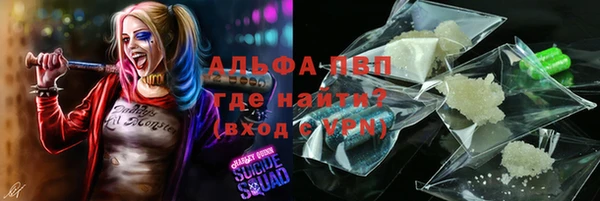 ПСИЛОЦИБИНОВЫЕ ГРИБЫ Сясьстрой